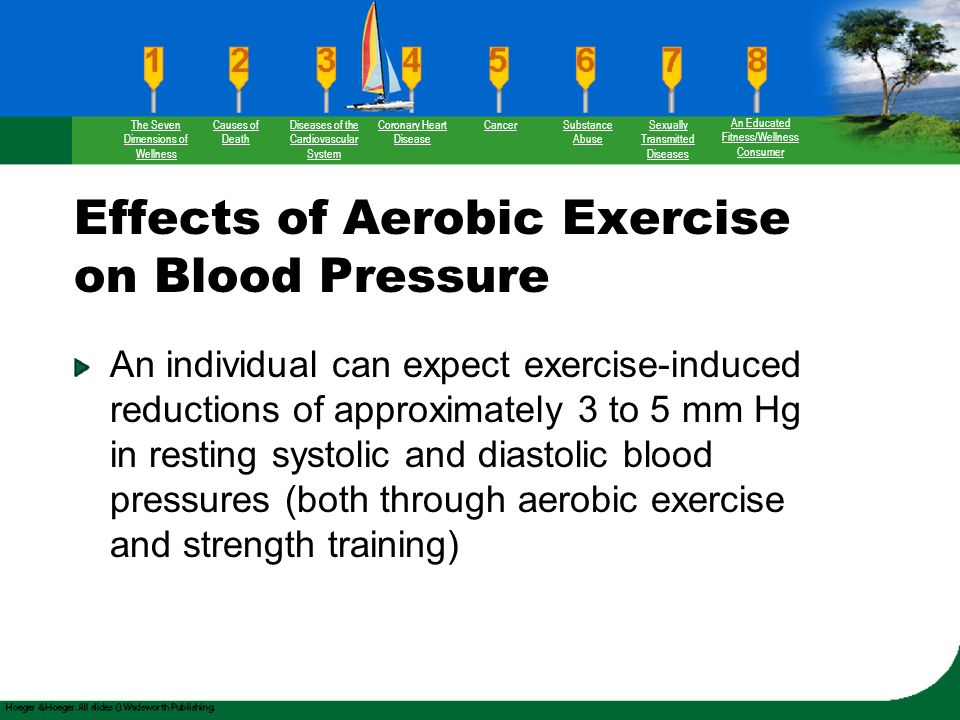 The effect of exercise on blood